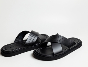 Изображение модели 2024